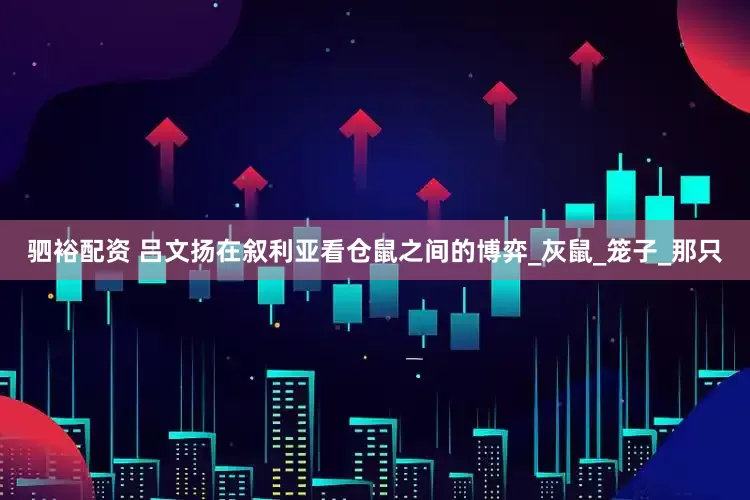 驷裕配资 吕文扬在叙利亚看仓鼠之间的博弈_灰鼠_笼子_那只