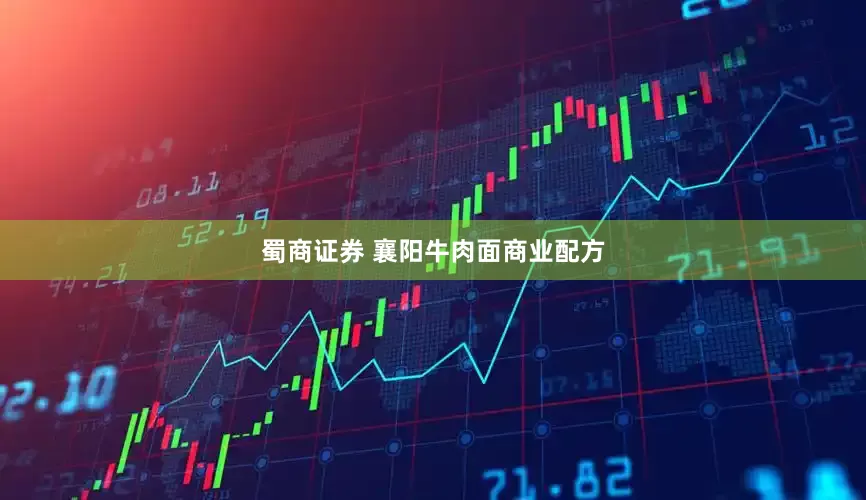 蜀商证券 襄阳牛肉面商业配方